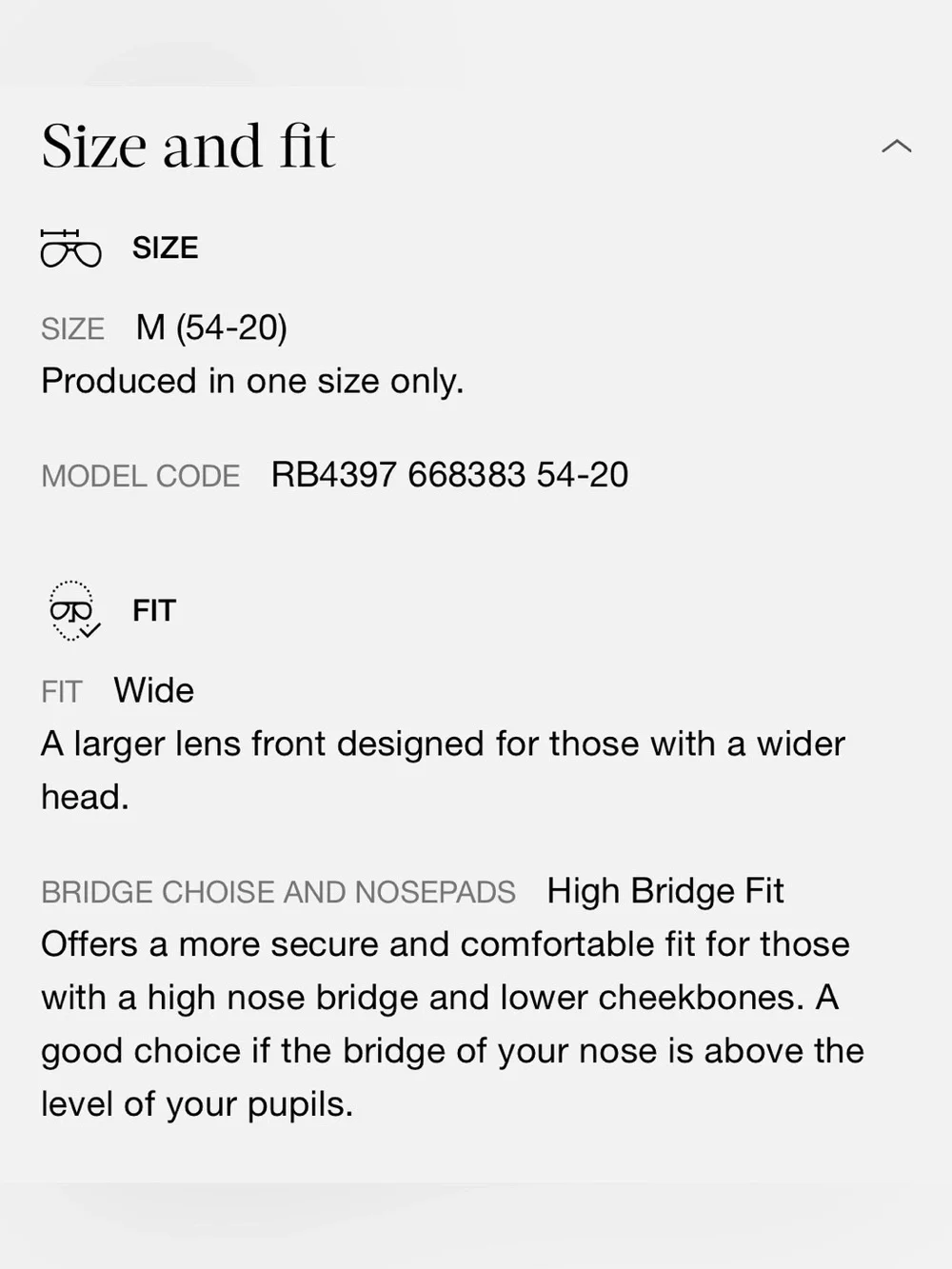 Ray-Ban Acetate Sunnies